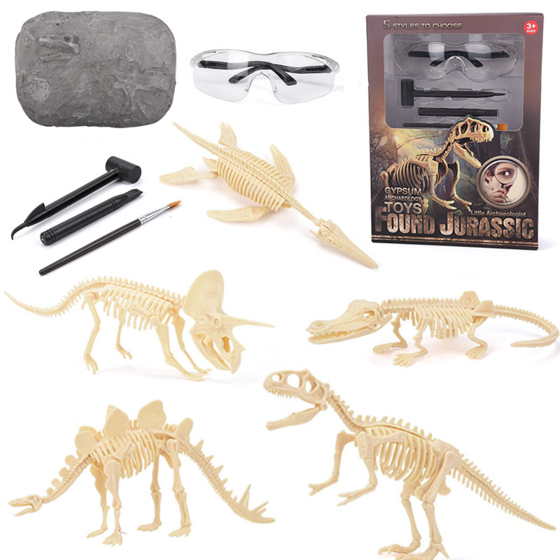 Dinosaurier-Fossil-Ausgrabungs – Model Kit Girl Bewertung und Preis